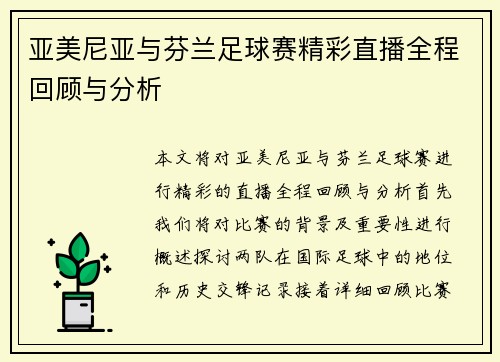 亚美尼亚与芬兰足球赛精彩直播全程回顾与分析